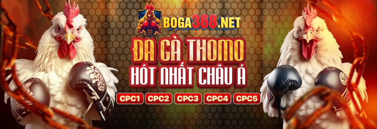 Hình ảnh chính Blog Xwin đăng nhập